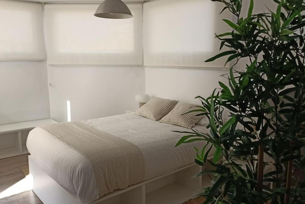 Apartament Salitre Malaga Center Zewnętrze zdjęcie